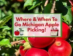 U-PICK Michigan Apple Orchards Worth Visiting This Fall in Ann Arbor, Grand Rapids, South Lyon, Fennville, Northville, Detroit and Across the State