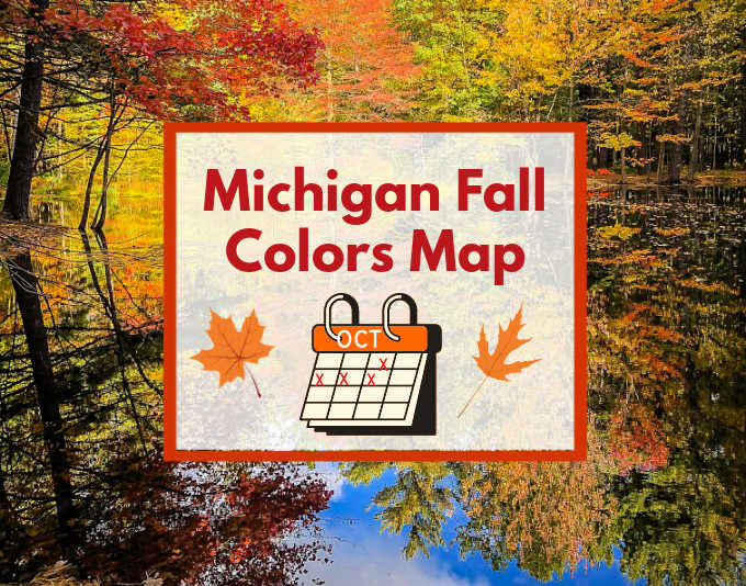 Fall Color Predictions