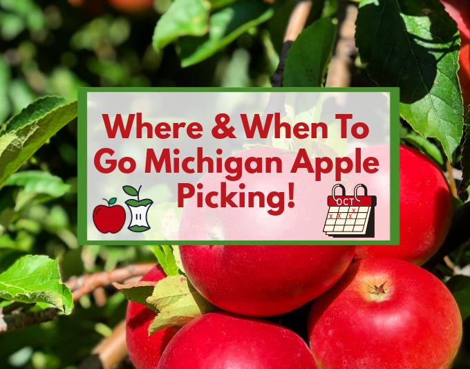 U-PICK Michigan Apple Orchards Worth Visiting This Fall | Ann Arbor, Grand Rapids, South Lyon, Fennville, Northville, Detroit...