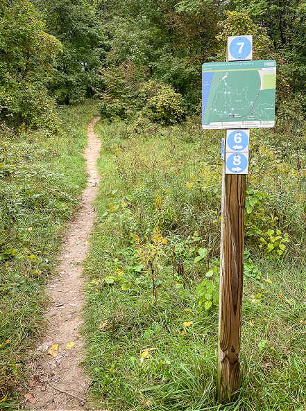 Gorgeous Arcadia Dunes