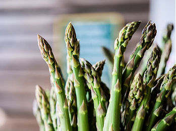 Michigan Asparagus