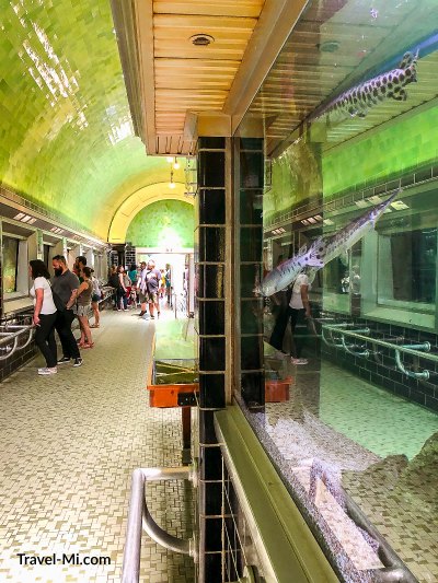 Belle Isle Aquarium