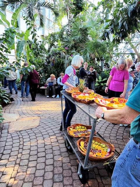 Frederik Meijer Gardens Butterflies