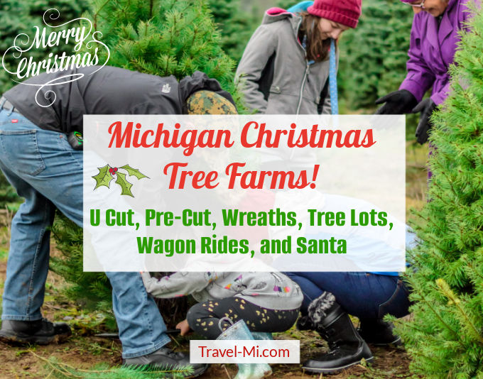 Best Michigan Christmas Tree Farms-U Cut, Pre-Cut, Wreaths,Wagon Rides