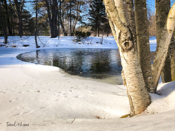 Dow Gardens in Winter - Midland, Michigan