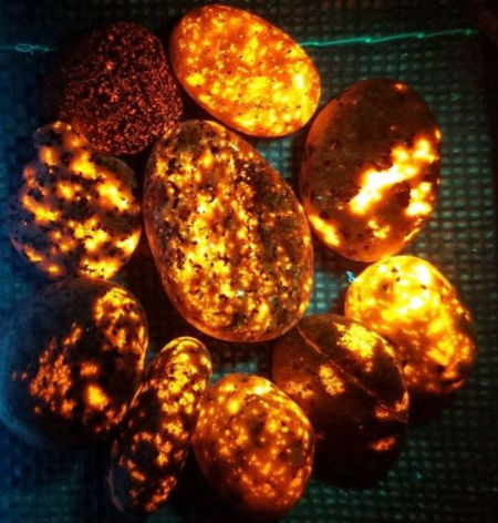 Everything Yooper: Sodalite Fluorescent Yooperlite Glow Rocks
