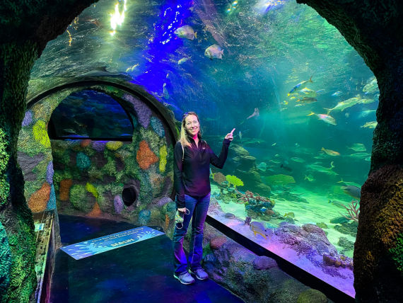 Sealife Michigan Aquarium