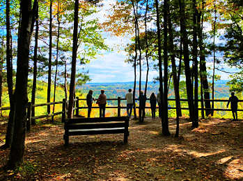 People looking at the changing trees