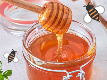 Michigan Honey Farms