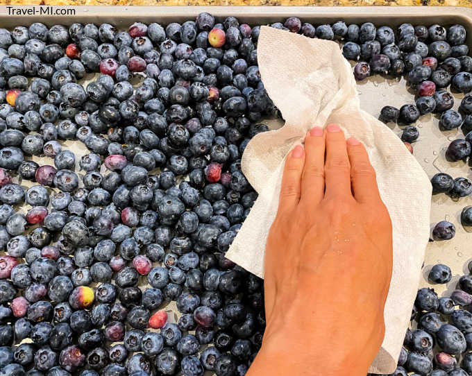 How to Freeze Blueberries