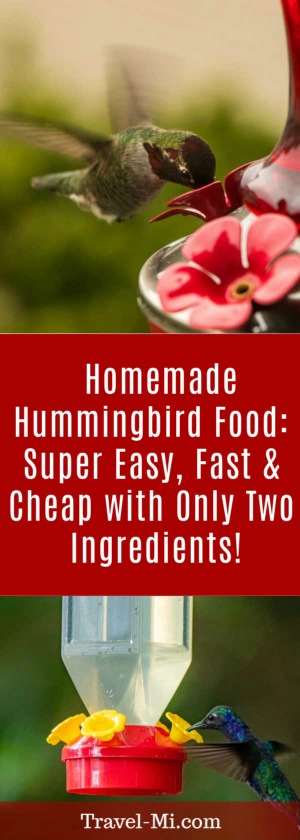 Homemade Hummingbird Food:Easy, Fast
