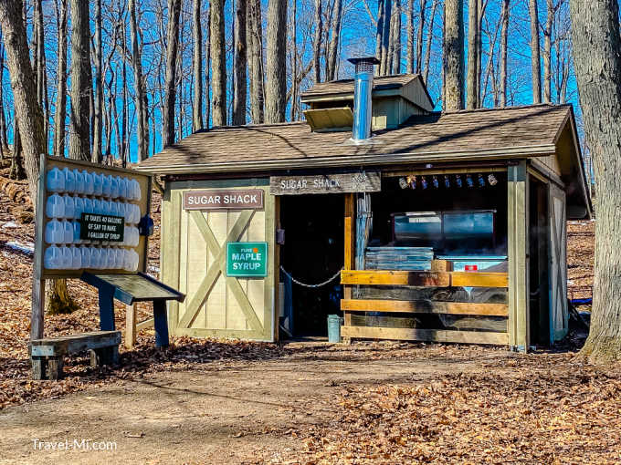 Sweetest 17 Michigan Maple Syrup Festivals & Events 2024