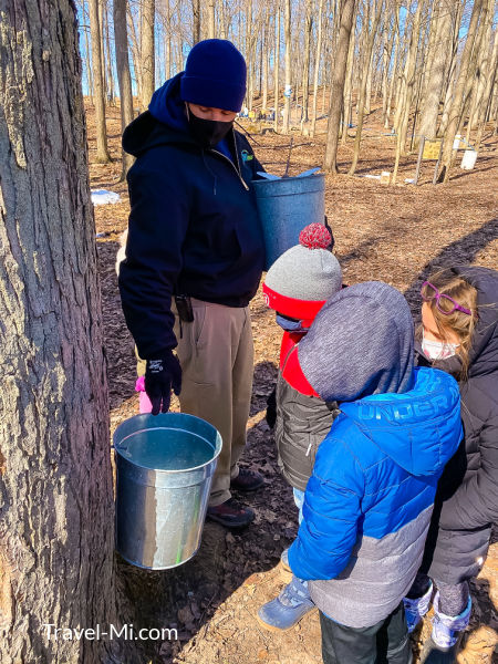 Kensington Maple Syrup