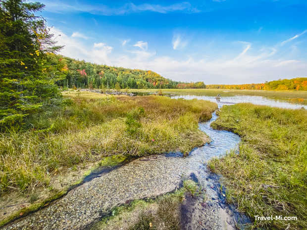 Winding stream through tall grasses