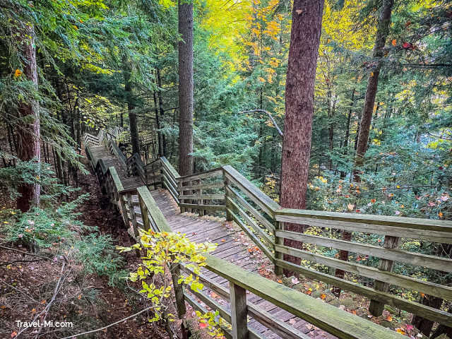 Staircase to the bottom of the forrest