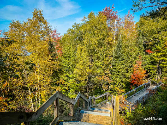 Stairs heading to the lower area through trees