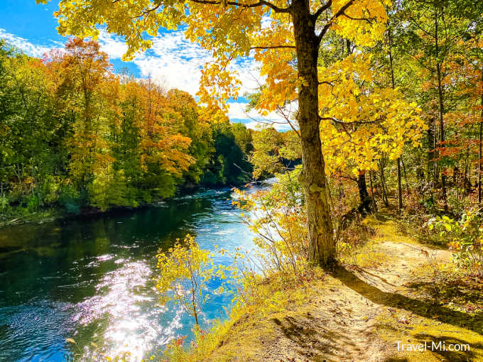 Walking trail in the woods along the river