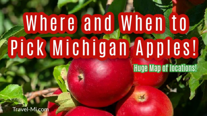 https://www.travel-mi.com/images/Michigan-Apple-Picking.jpg