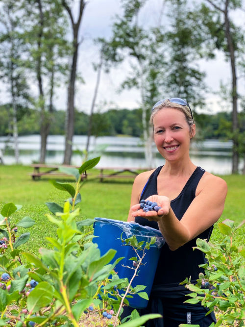 2023 MICHIGAN BLUEBERRY FESTIVALS+Event Schedules Near YouSouth Haven