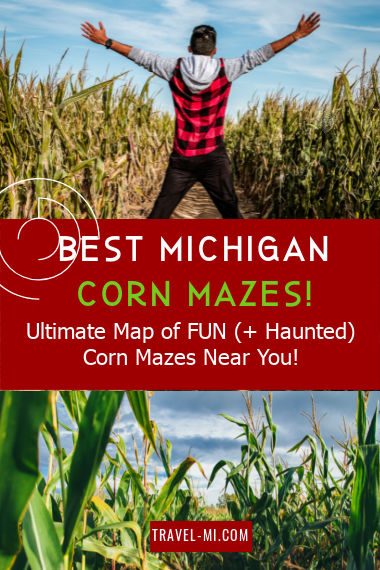 Man jumping in a corn maze and a field of corn