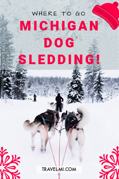 Michigan Dog Sledding