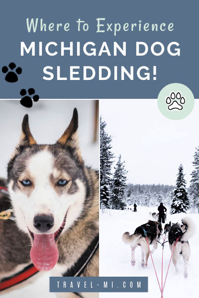 Michigan Dog Sledding