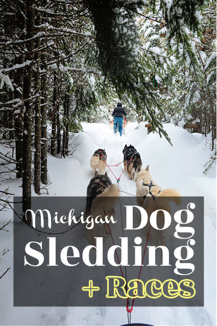 Dog Sledding