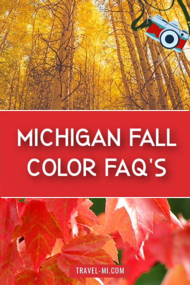 Colorful changing trees!