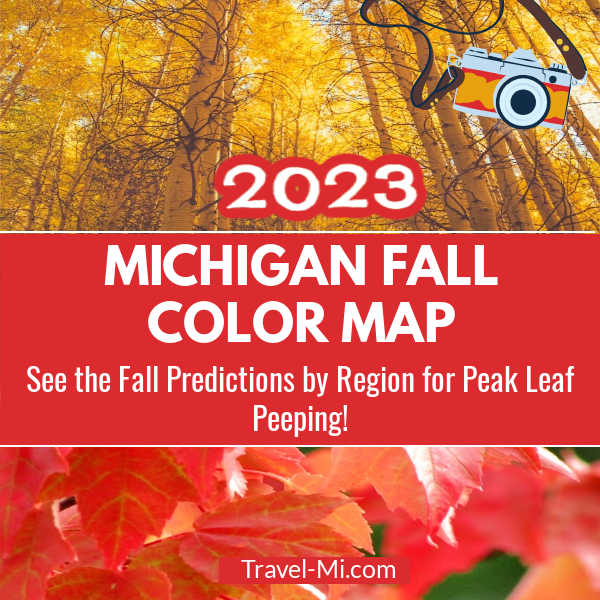 Yellow and Orange Leaves - Michigan Fall Color Forecast