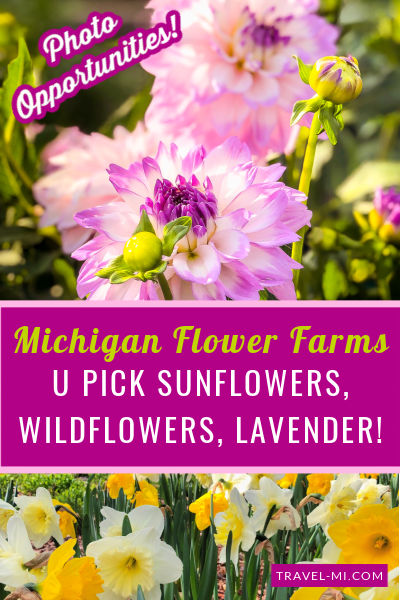 19 Michigan Flower Farms U Pick
