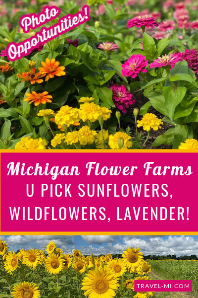 19 Michigan Flower Farms U Pick