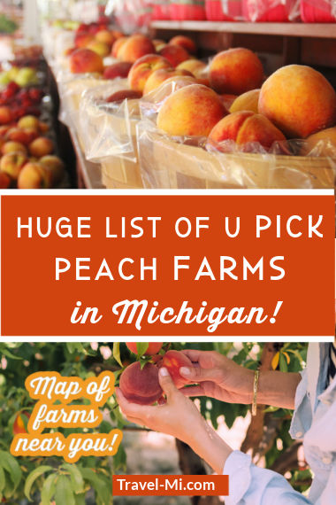 Peaches - MI Ag Council