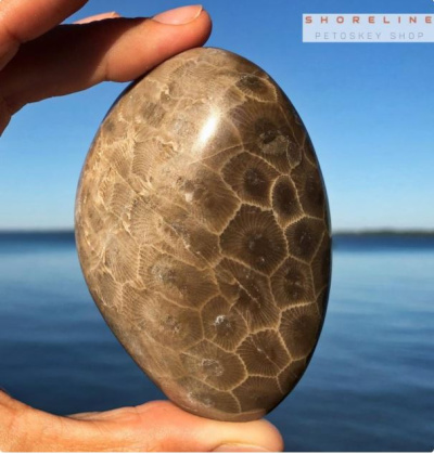 Petoskey Stones