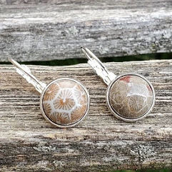 Petoskey Stone Earrings