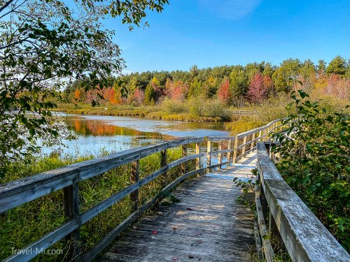 Boardwalk along colorful trees