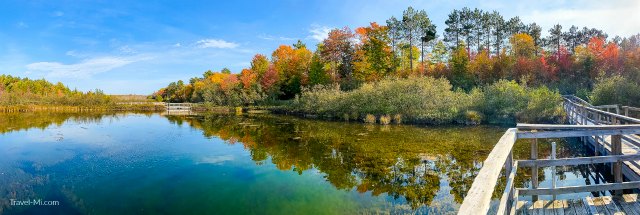 Pond and color changed trees