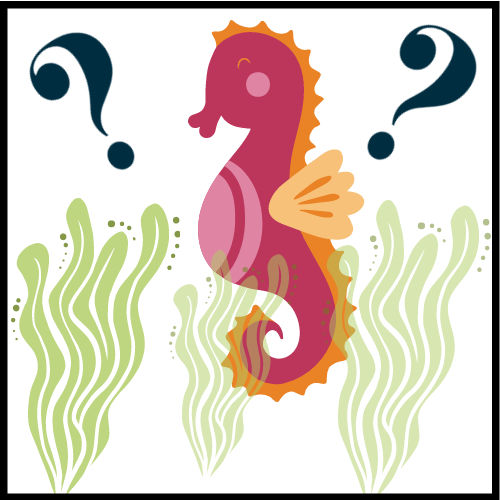 Seahorse graphic
