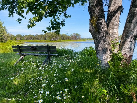 Seney National Wildlife Refuse