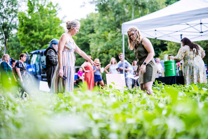 Sherry pointing at soy beans in a field