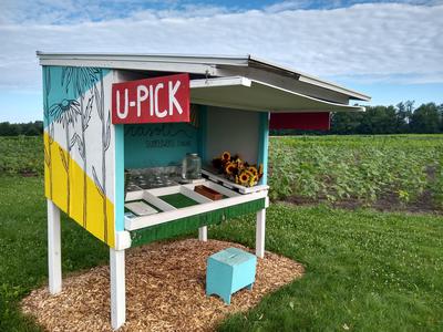 U-Pick Sunflower Stand