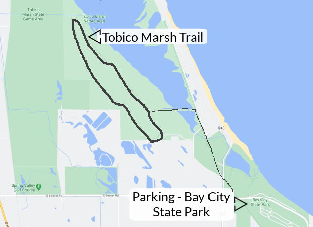 Tobico Marsh - Bay City, Michigan