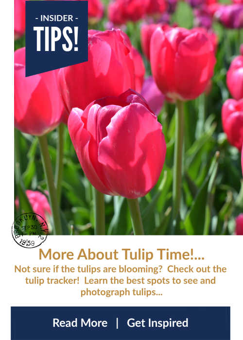 2024 Holland TULIP TIME FESTIVAL Schedule, MAPS, Parade Route Tickets