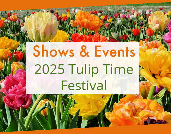 Tulip Time Shows