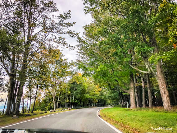 Early Fall Tunnel of Trees