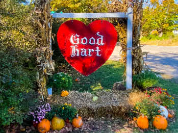 Good Hart red sign with pumpkins on the ground
