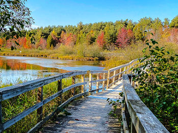 Fall Colors Upper Peninsula