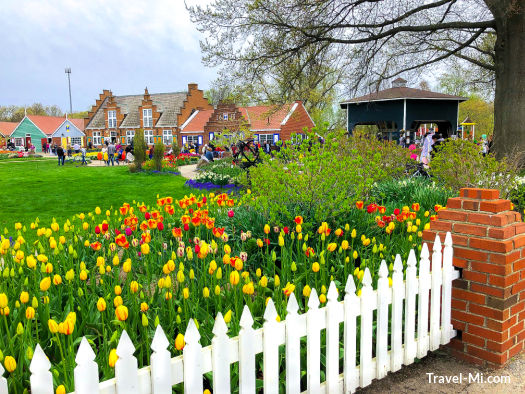 Holland Tulip Time Festival, Windmill Island Gardens