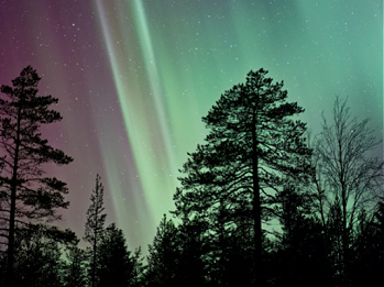 Purple and green aurora borealis