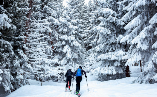 Winter Cross Country Skiing