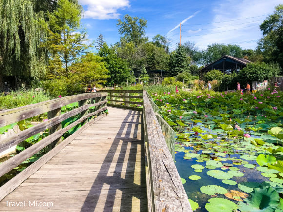 Scenic pond and boardwalk at Saginaw Children's Zoo in Saginaw Michigan
